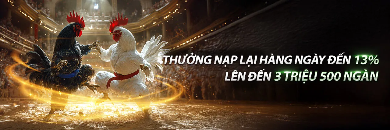 Đá gà trực tiếp tại huebet22