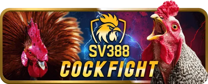Dịch vụ hỗ trợ khách hàng 24/7